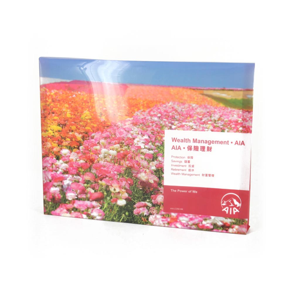 Policy Folder